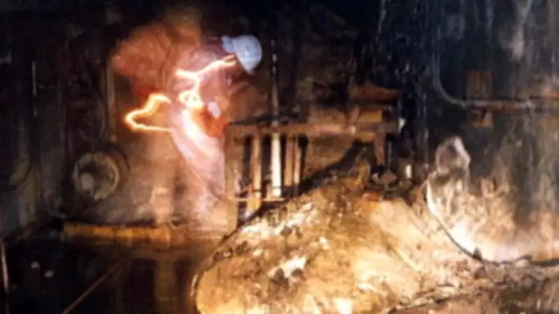 Dünyanın en tehlikeli nesnesi: Fil Ayağı! Yanında durmak bile öldürüyor