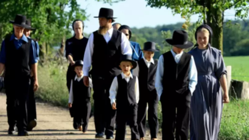 Dünyayı Şoke Eden Amişler: Teknolojiden Uzak Bir Yaşam Tarzı