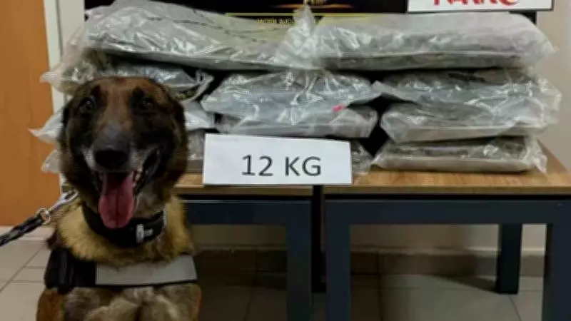 Düzce'de Büyük Uyuşturucu Operasyonu: İstanbul'dan Ankara'ya 12 Kilo Skunk Ele Geçirildi