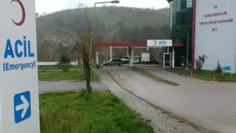 Düzce'de Karbonmonoksit Zehirlenmesi: 3'ü Çocuk 5 Kişi Hastanelik Oldu