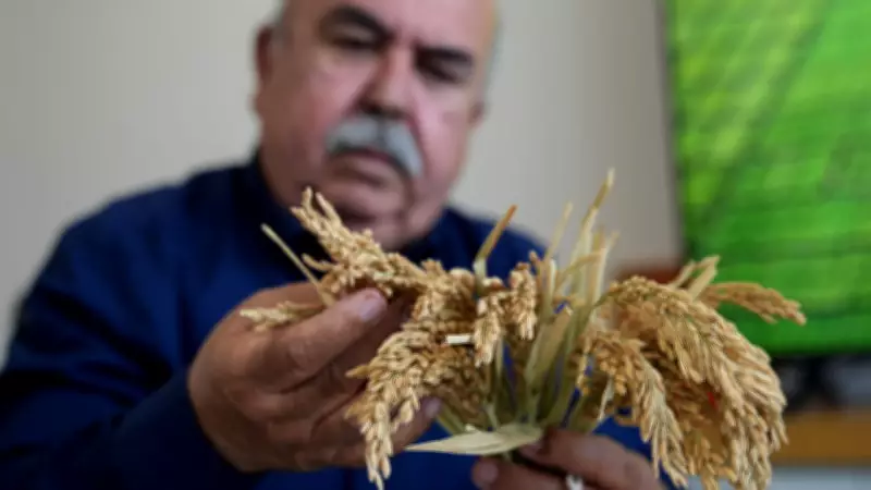 Çeltiğin Babası Dr. Halil Sürek'ten 3 Yeni Dayanıklı Çeşit