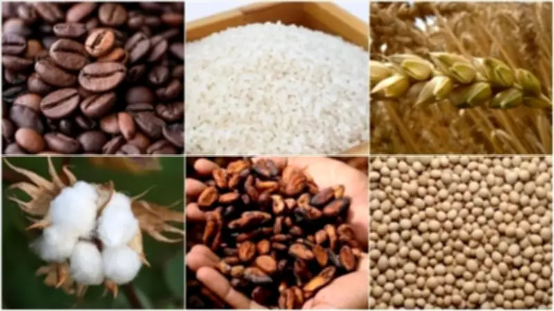 Enflasyon Korkusu Sürüyor: Değerli Metaller Negatif Seyirde, Gözler Merkez Bankalarında