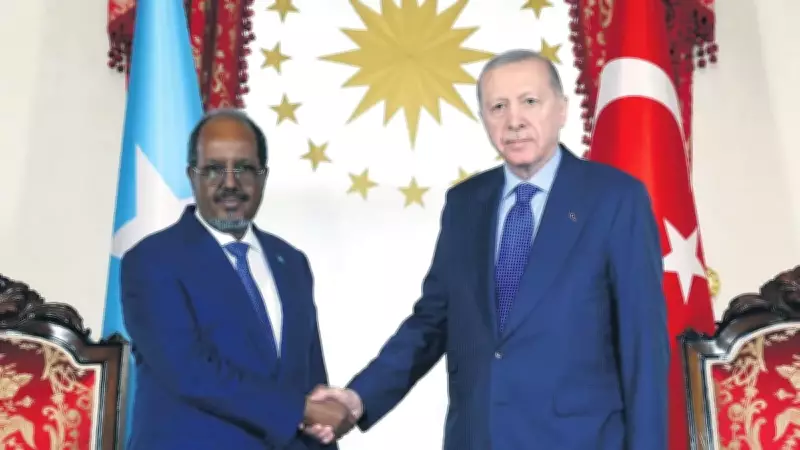 Erdoğan Somali Lideri ile Görüştü: Çağrı Bey Gemisi İşbirliğinin Sembolü