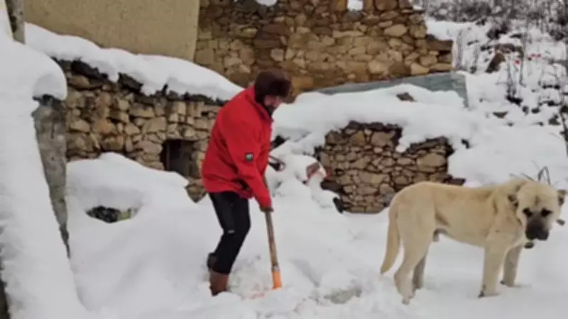 Erzincan'da Nisan Ayında Kar Sürprizi: Refahiye Beyaza Büründü