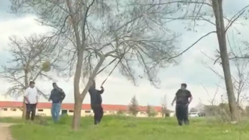 Eskişehir'de Mangal İçin Ağaç Dalı Kırmaya Çalışan Grubun Görüntüleri Tepki Topladı