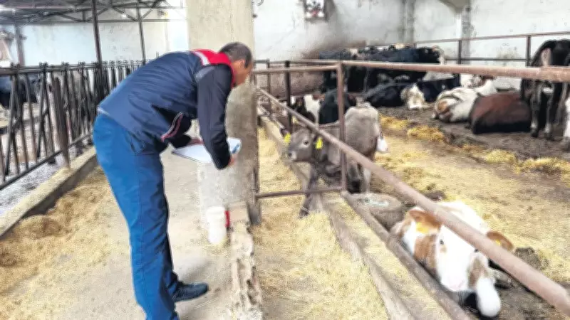 Et Fiyatlarında Manipülasyon Operasyonu: 30 Kişi Gözaltına Alındı