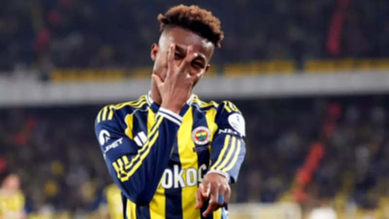 Fenerbahçe'nin Yıldızı Dorgeles Nene'den 21 Gole Etkileyici Katkı