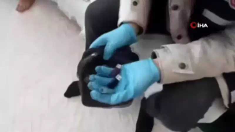 Gaziantep'te Rüşvet Operasyonu: 19 Şüpheli Gözaltına Alındı