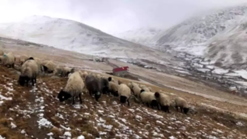 Giresunlu yaylacılardan Gümüşhane yaylaları için kadim kullanım hakkı talebi