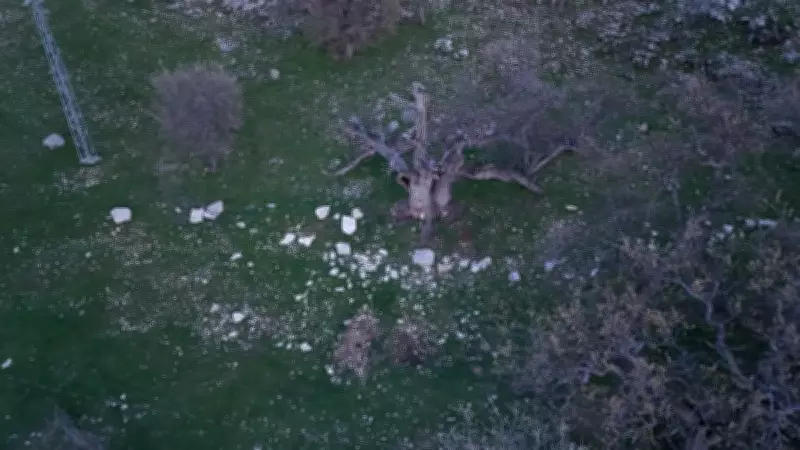 Gülistan Doku soruşturmasında mezar 18 noktada 40 kilometrelik alanda arandı