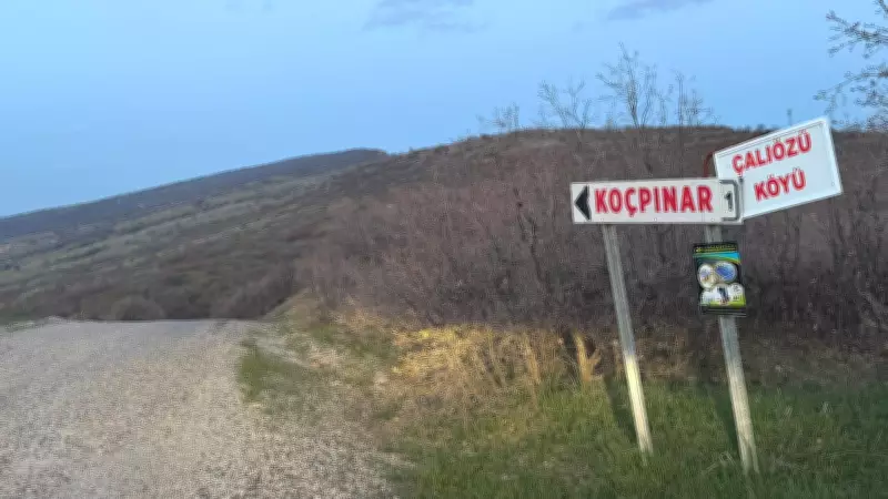 Gülistan Doku'nun mezar yeri aranıyor: 18 noktada çalışma yapıldı