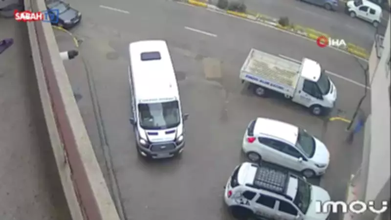 Görele'de İki Araca Çarpan Yaralı Karaca Dere Kenarında Bulundu