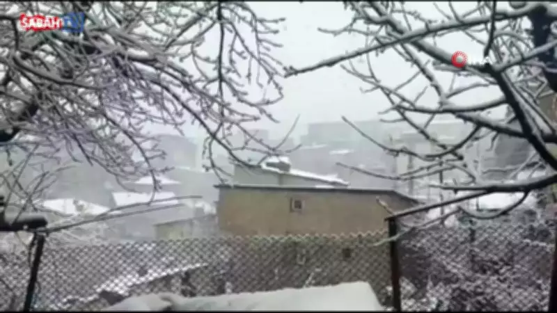 Hakkari'de Lapa Lapa Kar Yağışı Hayatı Olumsuz Etkiledi
