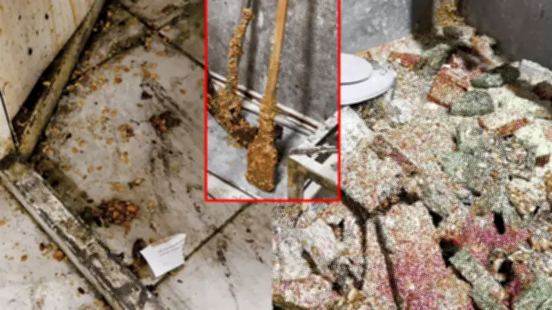 Hatay'da Kaçak İmalathanede Tüyler Ürperten Manzara: Lokum ve Cezerye Üretiliyordu