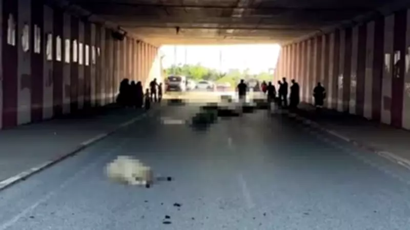 Hatay'da Otomobil Koyun Sürüsüne Daldı: 17 Koyun Hayatını Kaybetti