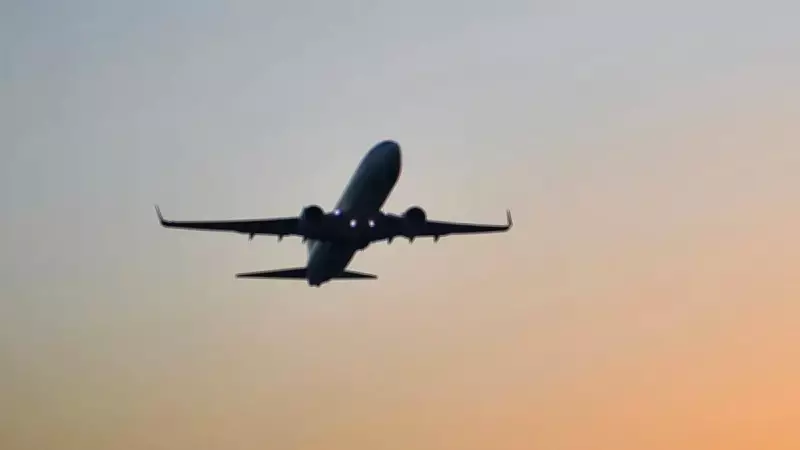 Havayolu Şirketleri EES Sisteminin Ertelenmesini Talep Ediyor