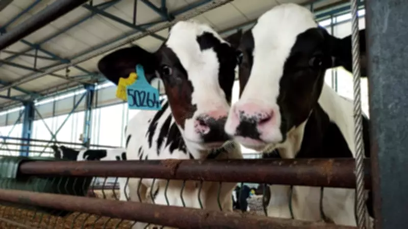 Hayvan Desteklemelerinde Dijital Dönem: Ücretler Mahsupla Ödenecek