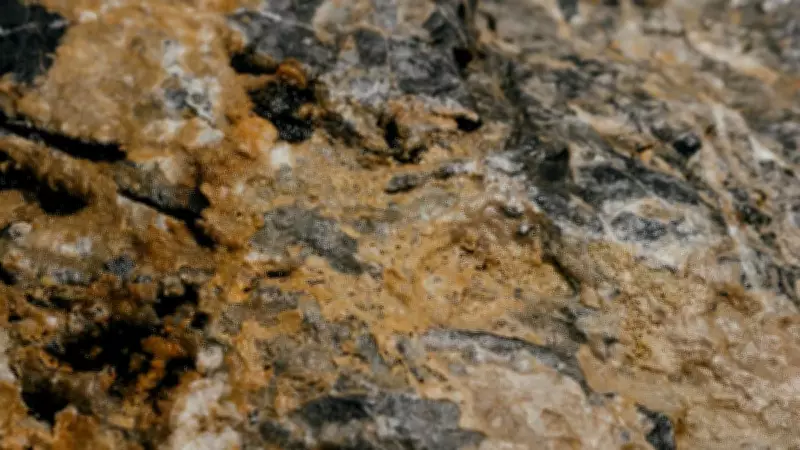 Herkesin 'çöp' dediği taş meğer servetmiş! İçinden lityum çıktı