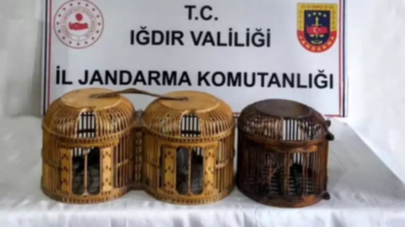Iğdır'da Kaçak Keklik Avına 72 Bin 829 TL Rekor Ceza Kesildi