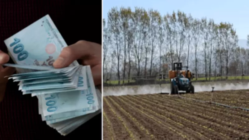 Çiftçilere 350 Milyon 968 Bin Lira Tarımsal Destek Ödemesi