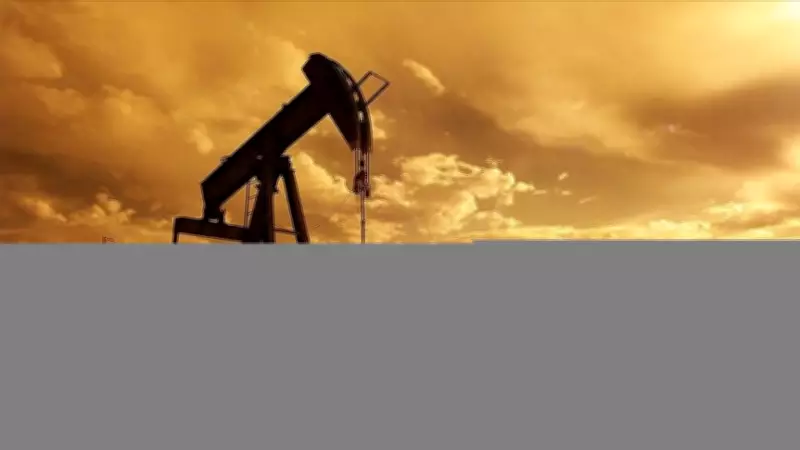 IRENA Direktörü: Fosil Yakıt Sistemleri Enerji Güvenliğini Sağlayamaz