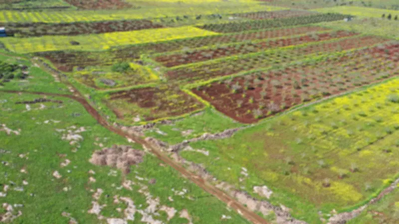 Japon ve Çinli Arkeologlar Şanlıurfa'da Neolitik Kazılara Katılıyor