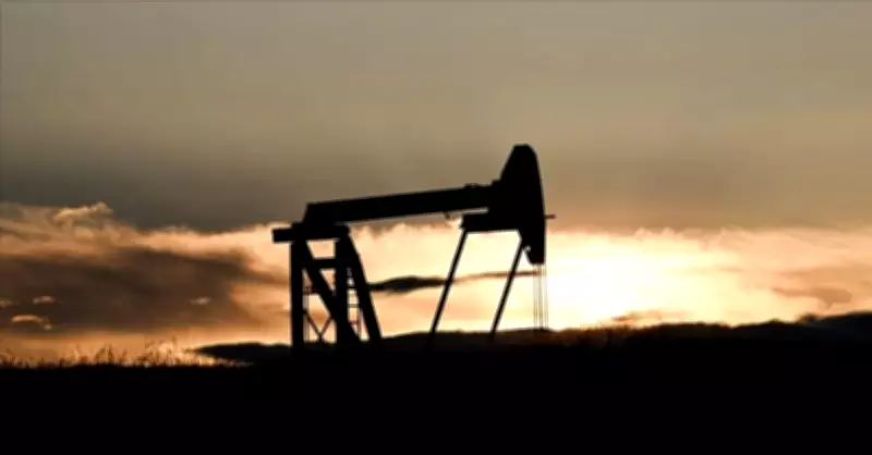 Japonya, Hürmüz Boğazı krizi nedeniyle 20 günlük petrol rezervini piyasaya sürüyor