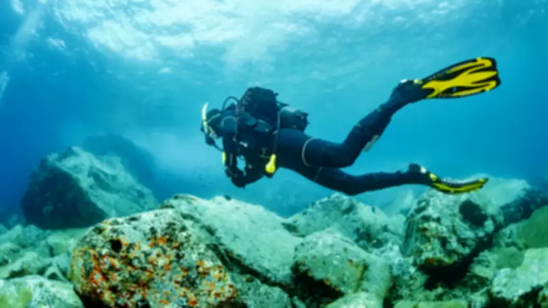 Japonya'da 10 Bin Yıllık Batık Şehir Tartışması