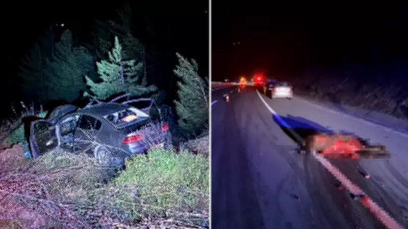 Karabük'te Başıboş Ata Çarpan Araçta 3 Kişi Yaralandı, At Telef Oldu