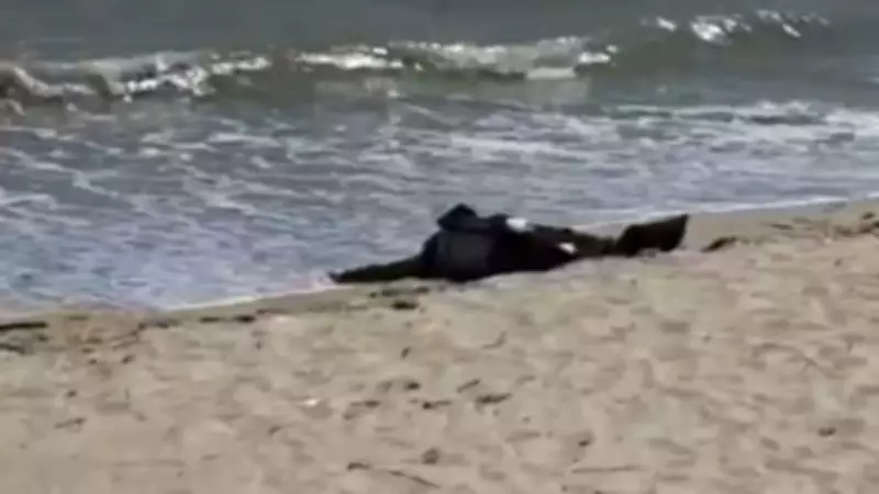 Karaburun Sahilinde Bulunan Cesedin 40 Gündür Aranan Adama Ait Olduğu Belirlendi