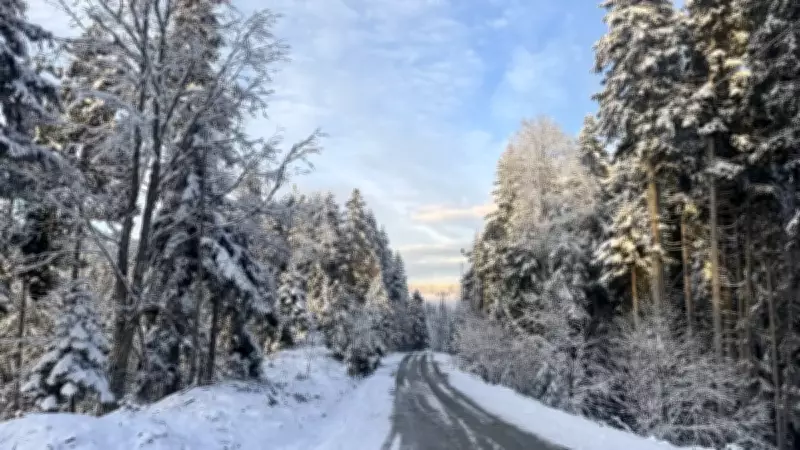 Karadeniz'de Nisan Şoku: 4 İl Beyaza Büründü, Yaşam Durdu