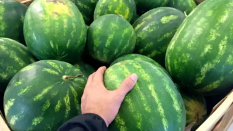 Karpuz Seçerken Sapındaki O Detay En Tatlısını Bulmanızı Sağlıyor