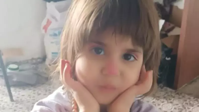 Küçük Rabia İçin 350 Kişilik Dev Arama: Bitlis'te Kayıp Çocuk Bulunamadı