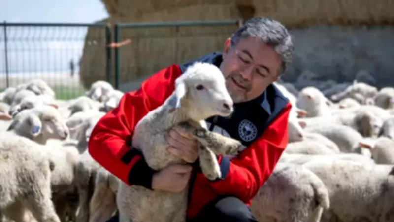 Küçükbaşa Destek Projesi: Aylık 15 Bin, Yıllık 180 Bin Lira Hibe