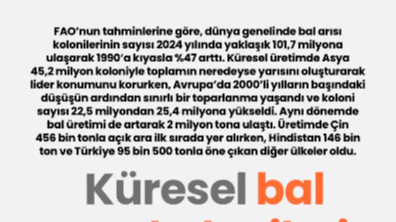 Küresel bal arısı kolonileri 101,7 milyona ulaştı, üretim 2 milyon tonu geçti