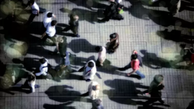 Kuzey Avrupa'nın 5.000 Yıllık Kayboluş Sırrı: Salgınlar Tarihi Değiştirdi