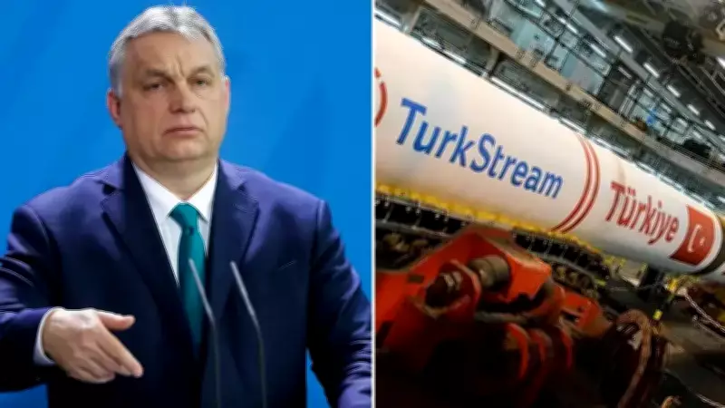 Macaristan, TürkAkım Hattına Yönelik Sabotaj Tehdidine Karşı Askeri Önlemleri Artırdı