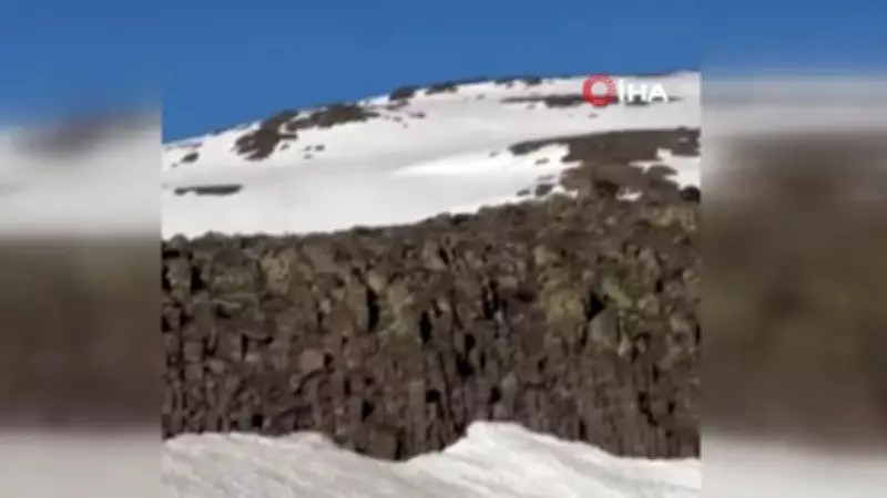 Malatya'da Anne Ayı ve Yavrusu Karlı Dağda Görüntülendi