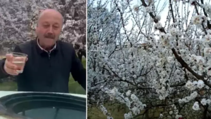 Malatya'da Kayısı Üreticileri Zemzem Suyu ve Dua ile İlaçlama Yapıyor