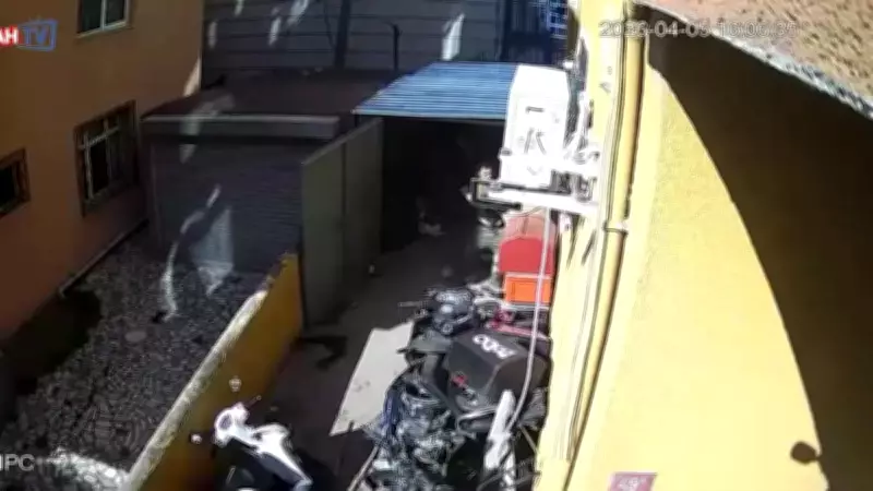 Maltepe'de Motor Kiralama Kavgası Cinayete Dönüştü: Görüntüler Ortaya Çıktı