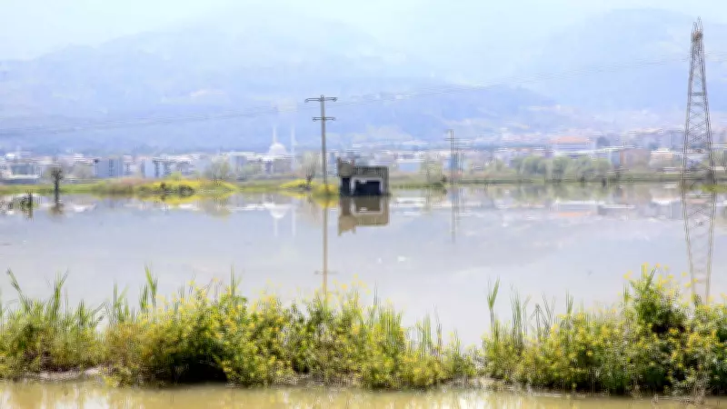 Manisa'da Gediz Nehri Taştı: Bağ Evleri ve Tarım Arazileri Sular Altında Kaldı