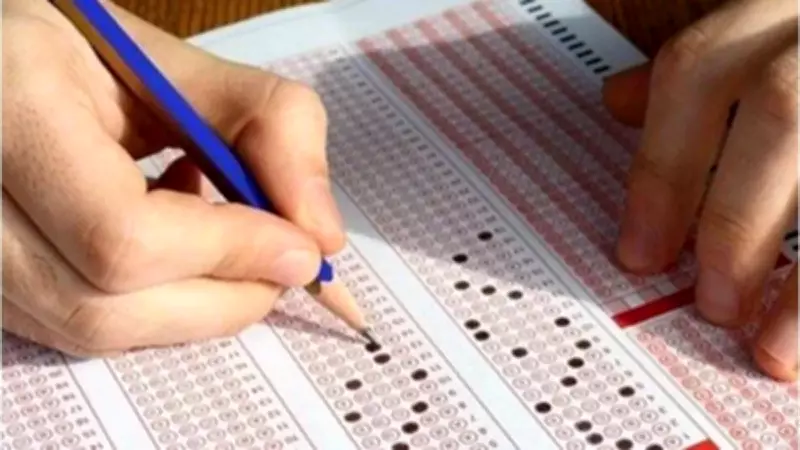 MEB AÖL 2026 2. Dönem Sınav Sonuçları Açıklanma Tarihi ve Sorgulama Detayları