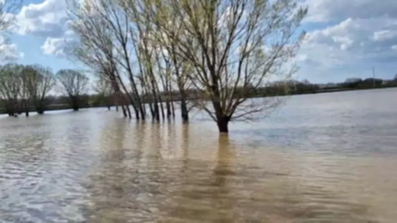 Meriç Nehri Taştı: Edirne'de Tarım Arazileri Sular Altında Kaldı