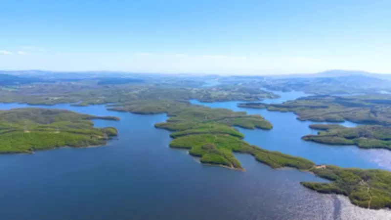 Ömerli Barajı'nda Görsel Şölen: Yeşil ve Mavinin Buluşması
