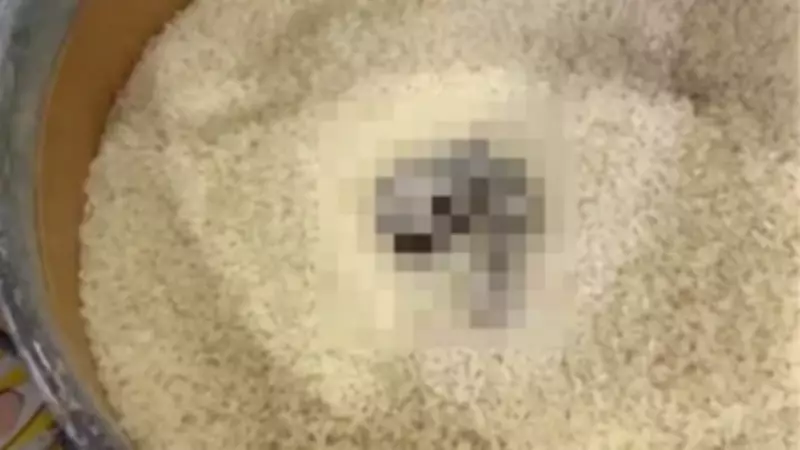 Mersin'de Açıkta Satılan Pirinçte Kedi Dışkısı Bulundu, Market 52 Bin TL Ceza Aldı
