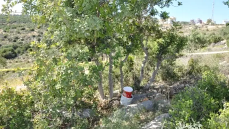 Mersin'de Bahçede Toprağa Gömülü El Bombası Bulundu