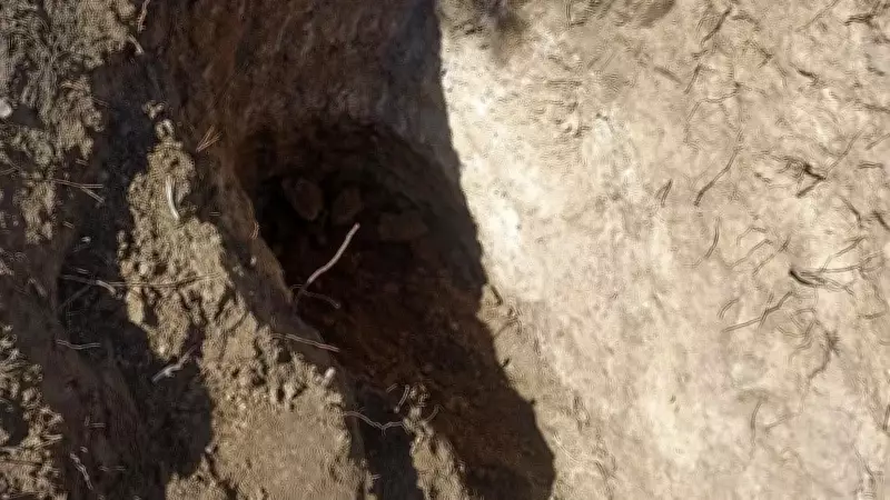 Mezarlıkta define kazısı: Jandarma harekete geçti