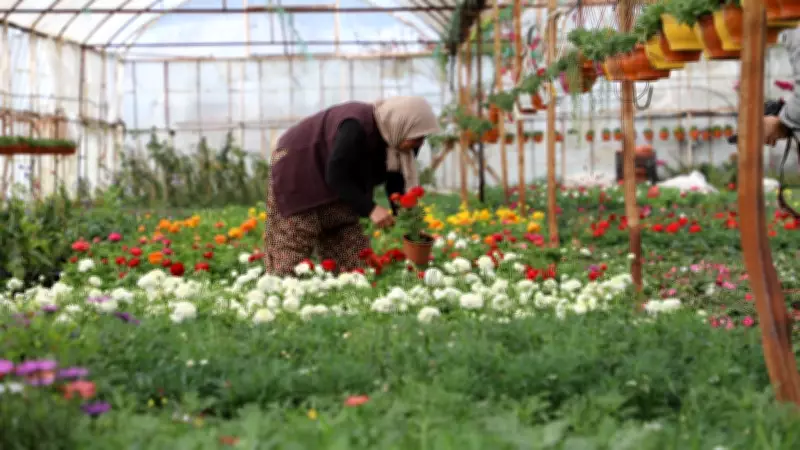 Muğla'da 'Üretici Kadınlar Meclisi' kuruluyor