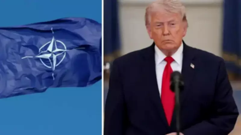 NATO 77. Yılında ABD'nin Çekilme Tehdidiyle Sınanıyor: Tarihsel Genişleme ve İç Çatışmalar