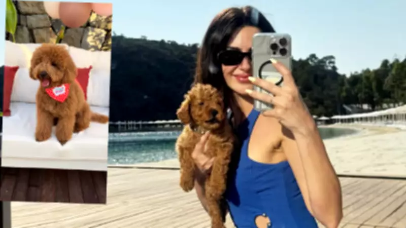 Nesrin Cavadzade, Köpeği Dolce'nin Doğum Gününü Özel Partiyle Kutladı